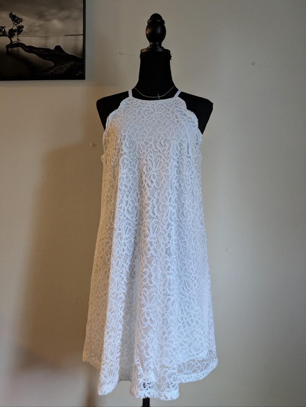​Francesca’s White Lace High-Neck Sleeveless Dress – Size M